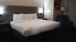 Best Western Lubbock West Inn & Suites - Room