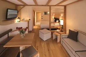 Dolomites Living Hotel Tirler - Rum