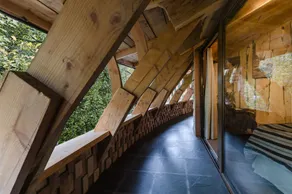 Huilo Huilo Reino Fungi - Room