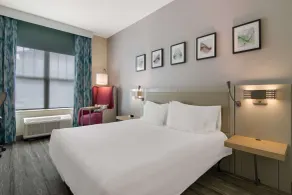 Hilton Garden Inn Madison West/Middleton - Chambre