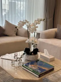 Seven Luz Serviced Apartments - Al Masif Branch - Reception