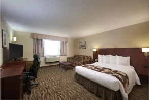 Capital Hotel - Room