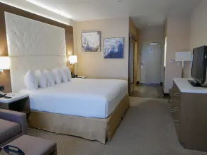 Wyndham Anaheim - Chambre
