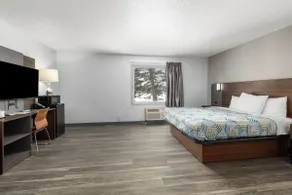 Motel 6-Grand Rapids, MI - Northeast - Chambre