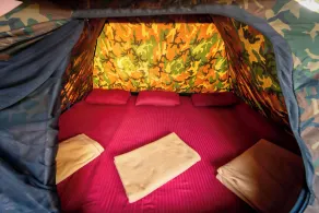 Dandeli Serene Jungle Resort - Habitación