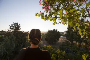 John Mary - View from room