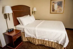 Hampton Inn Plover/Stevens Point - Chambre