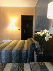 Hotel Parco Fiera - Chambre