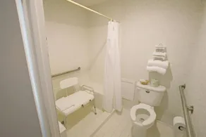 Americas Best Value Inn - Jonesville - Bad