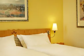 H+ Hotel & SPA Friedrichroda - Chambre