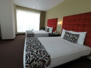 Hotel Vista Inn Premium - Vue de la chambre
