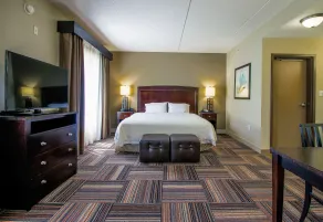 Hampton Inn & Suites by Hilton Flowery Branch Lake Lanier - Room