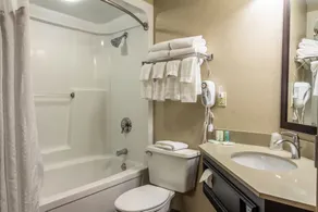 Clarion Inn Cranberry Township - Salle de bain