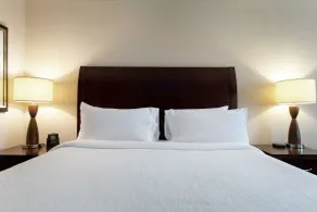 Hilton Garden Inn Mobile West I-65/Airport Blvd - Chambre