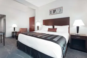 Wingate by Wyndham Tinley Park - Chambre