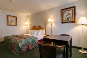 Americas Best Value Inn Uvalde - Room