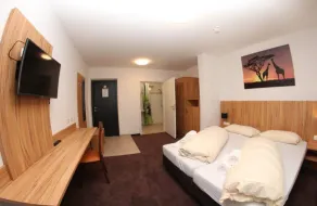 Schäfer Boardinghouse - Room