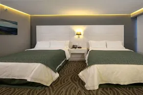 Holiday Inn Express Pachuca by IHG - Chambre