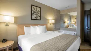 Bluegreen Vacations Odyssey Dells Resort - Chambre