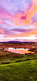 Pelican Point Tasmania - View from room