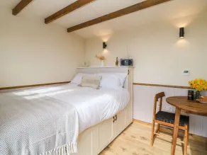 Buzzards - Room