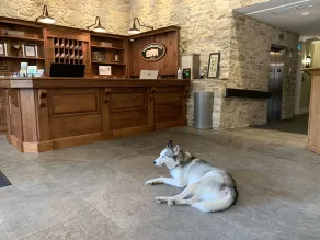 The Barracks Inn - Receção