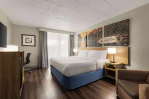 Days Hotel by Wyndham Allentown Airport / Lehigh Valley - Chambre