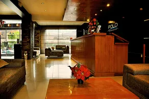 Polo Cusco Suites - Receção