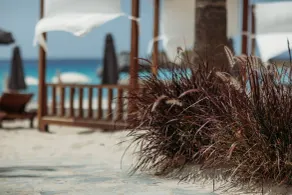 Nissi Beach Resort - Restaurant