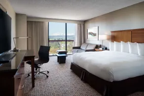 DoubleTree by Hilton Denver Tech Center - Chambre