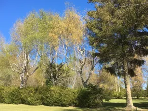 Domaine les 2 Mondes - Rom