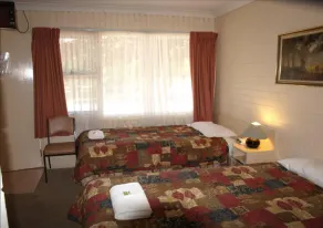 Civic Motor Inn - Habitación