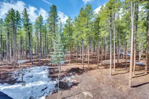 4 Mi to Rmnp: Allenspark Cabin w/ Wraparound Deck! - Innvendig