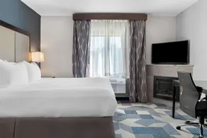 Best Western Plus Flint Airport Inn & Suites - Chambre