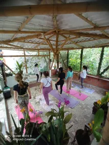 Bosques de la Pradera - Yoga