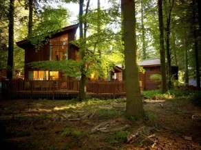 Forest of Dean Cabins - Forest Holidays - Udsigt fra værelset