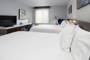 Hilton Garden Inn Baton Rouge Airport - Chambre
