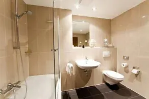 Suite, shower, toilet, lake view - Bagno