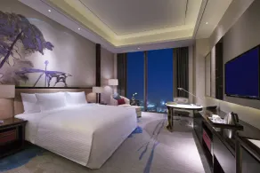 Wanda Vista Dongguan - Room