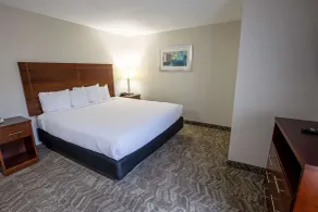 Best Western Plus Lafayette Vermilion River Inn & Suites - Chambre