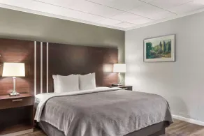 Quality Inn & Suites Green Bay Downtown - Chambre
