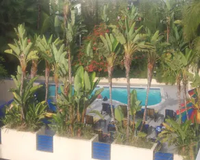 Ramada Plaza by Wyndham West Hollywood Hotel & Suites - Piscine