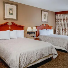 Treasure Island Resort & Casino - Chambre