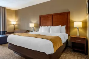 Comfort Inn Shelbyville North - Habitación