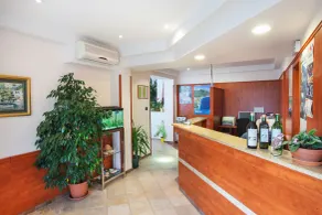 Villa Vinka - Recepción