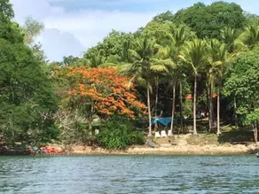 Bahia Rica Fishing & Kayak Lodge - View from room