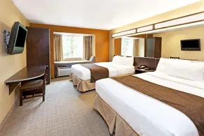 Microtel Inn & Suites by Wyndham Woodstock/Atlanta North - Chambre
