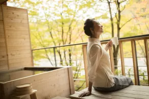 Hoshino Resorts Oirase Keiryu Hotel - Udsigt fra værelset