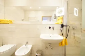 Hotel Spitzenpfeil - Bathroom