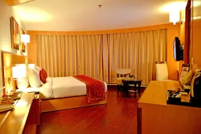 The Theme, Jaipur - Room